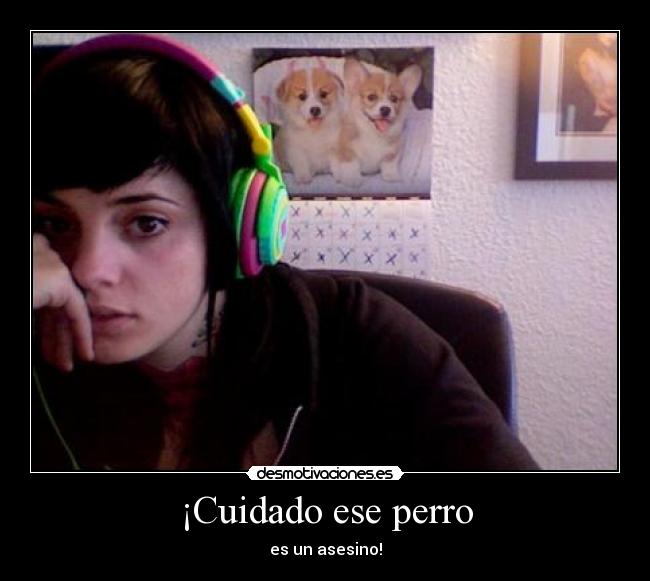 ¡Cuidado ese perro - es un asesino!