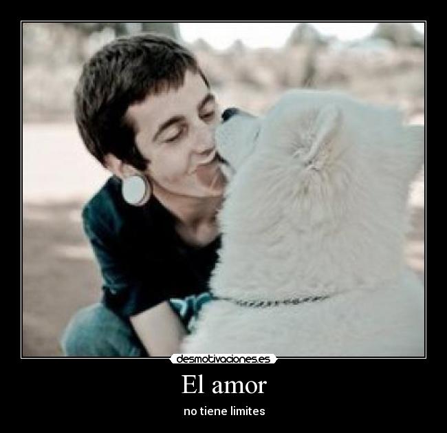 El amor - 