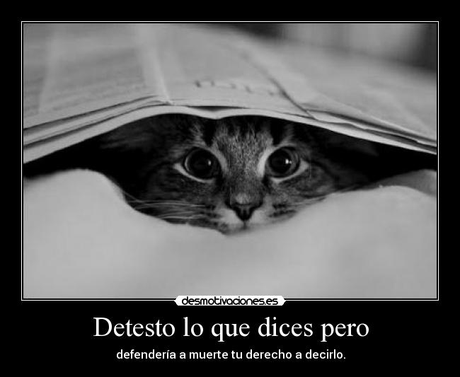 Detesto lo que dices pero - defendería a muerte tu derecho a decirlo.