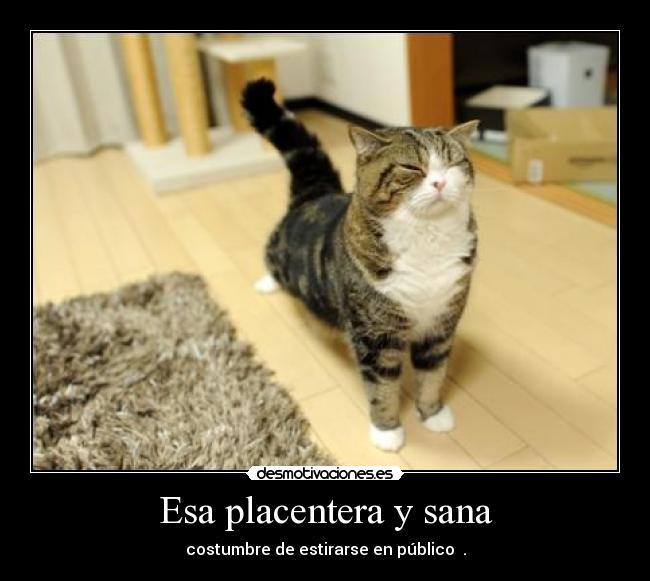 Esa placentera y sana -