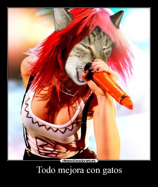Todo mejora con gatos -