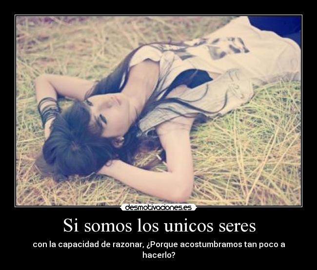 Si somos los unicos seres -