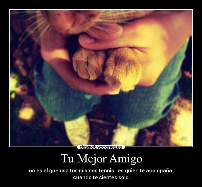 Tu Mejor Amigo - 