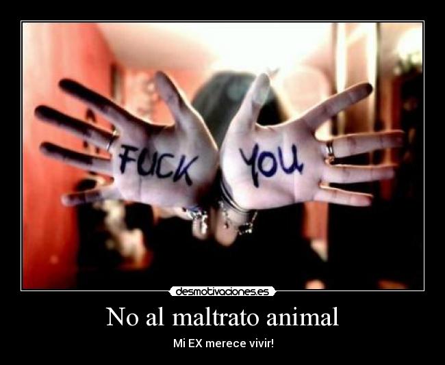No al maltrato animal - Mi EX merece vivir!
