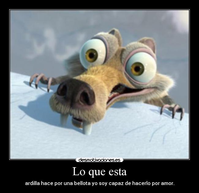 Lo que esta - ardilla hace por una bellota yo soy capaz de hacerlo por amor.