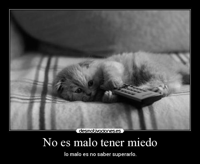 No es malo tener miedo - 
