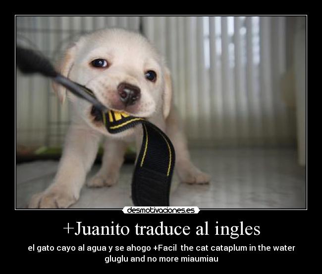 +Juanito traduce al ingles - 