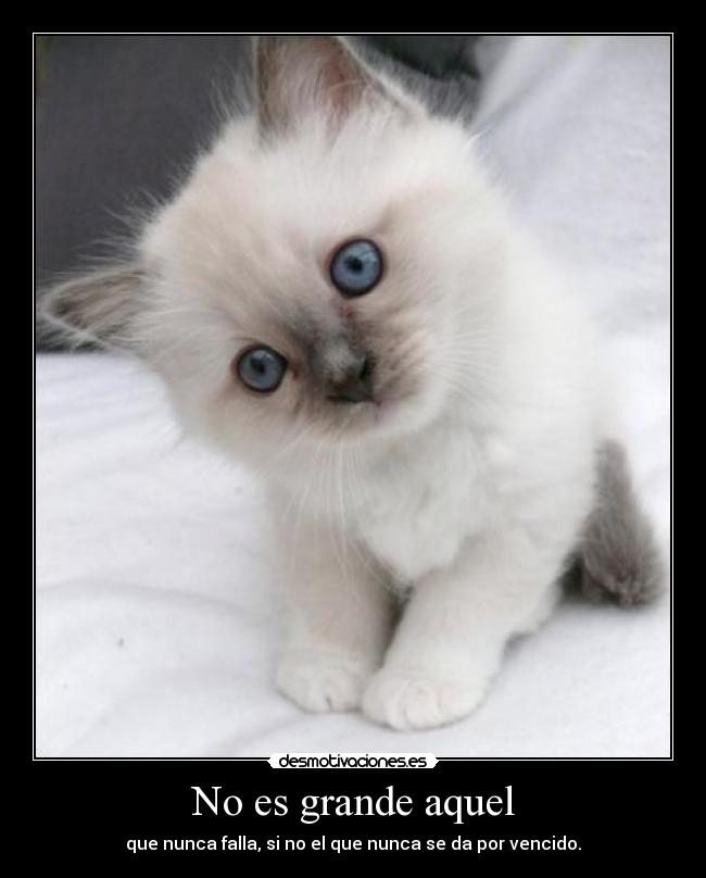 No es grande aquel -