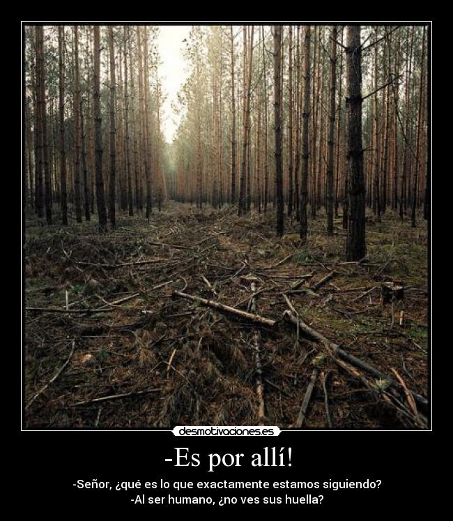 -Es por allí! - -Señor, ¿qué es lo que exactamente estamos siguiendo?
-Al ser humano, ¿no ves sus huella?