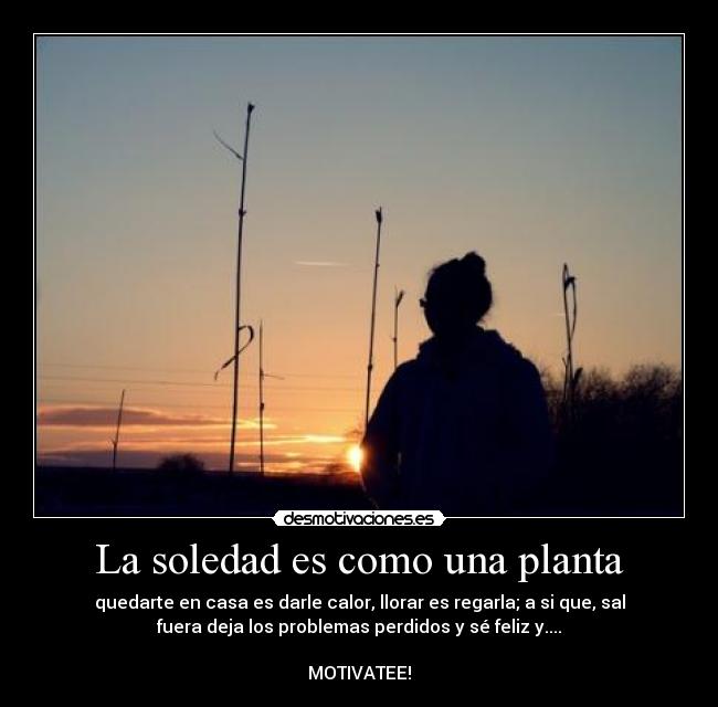 La soledad es como una planta - quedarte en casa es darle calor, llorar es regarla; a si que, sal
fuera deja los problemas perdidos y sé feliz y....

MOTIVATEE!