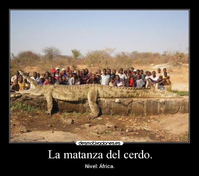 carteles matanza del cerdo desmotivaciones