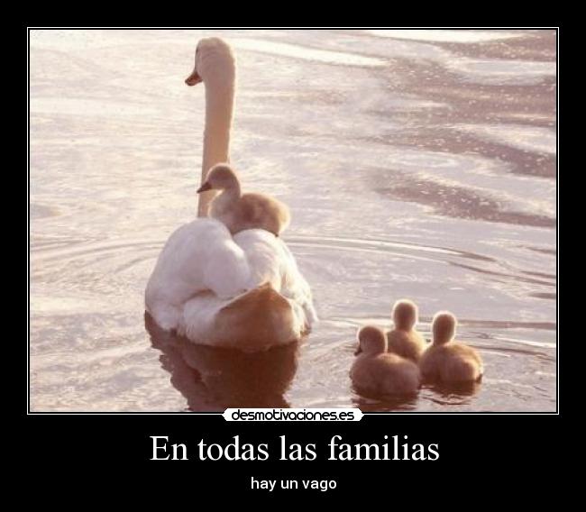 En todas las familias - 