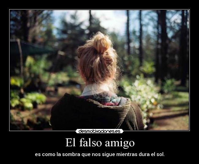 El falso amigo - es como la sombra que nos sigue mientras dura el sol.