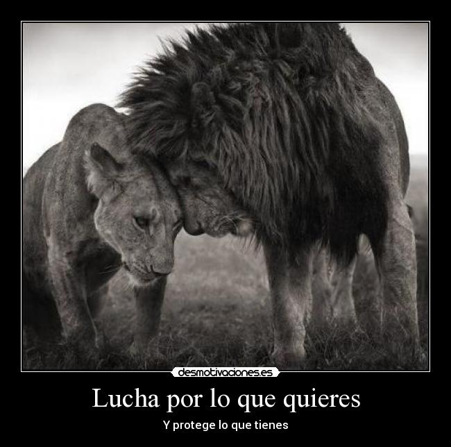 Lucha por lo que quieres - 