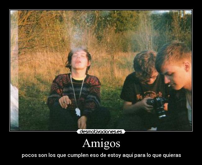 Amigos -
