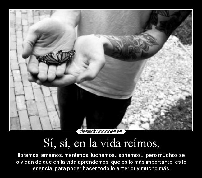 Sí, sí, en la vida reímos, - lloramos, amamos, mentimos, luchamos,  soñamos... pero muchos se
olvidan de que en la vida aprendemos, que es lo más importante, es lo
esencial para poder hacer todo lo anterior y mucho más.