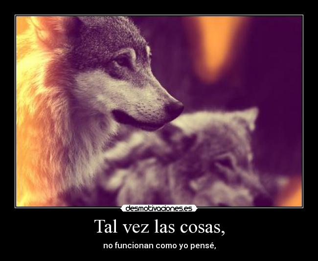 Tal vez las cosas, - no funcionan como yo pensé,