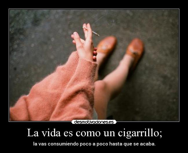 carteles vida sinnadaquedecir desmotivaciones