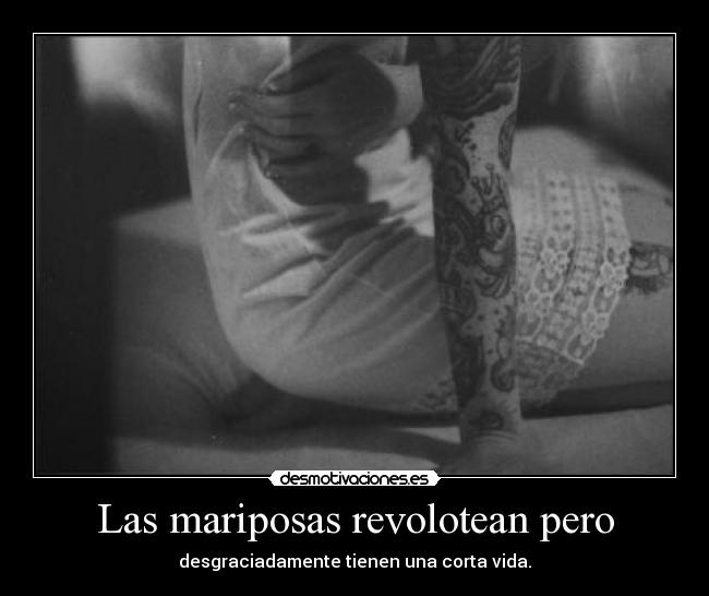 Las mariposas revolotean pero - 