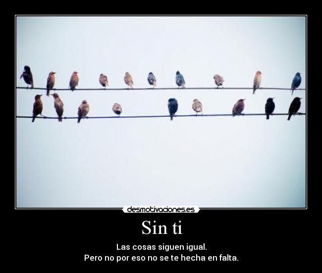 carteles phenomenon cagandola janette kagamine desmotivaciones