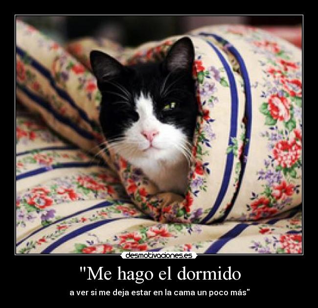 Me hago el dormido - a ver si me deja estar en la cama un poco más