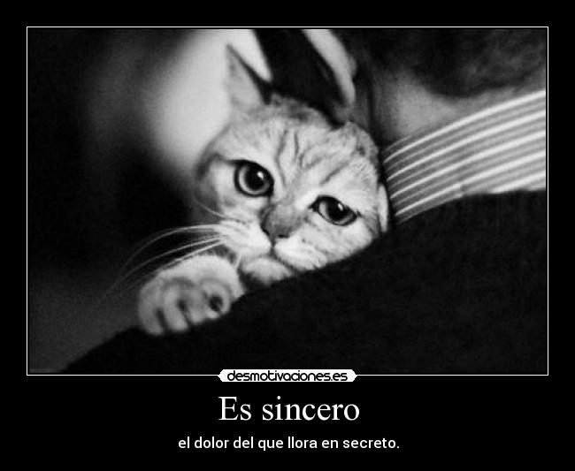 Es sincero -