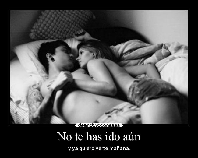 carteles love you desmotivaciones