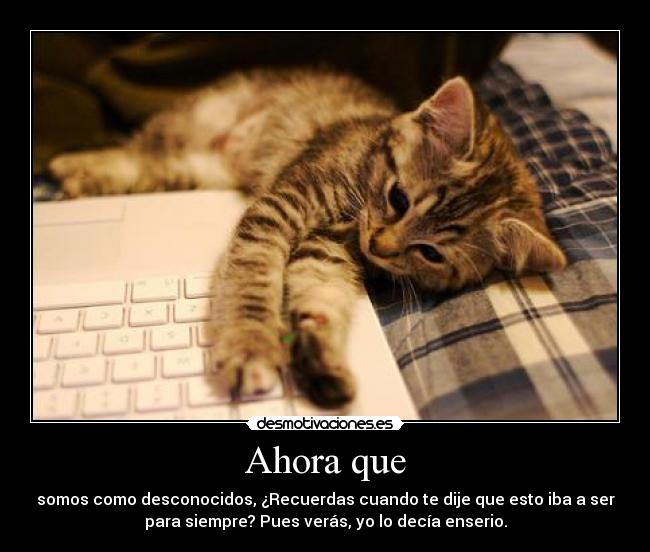 Ahora que - somos como desconocidos, ¿Recuerdas cuando te dije que esto iba a ser
para siempre? Pues verás, yo lo decía enserio.