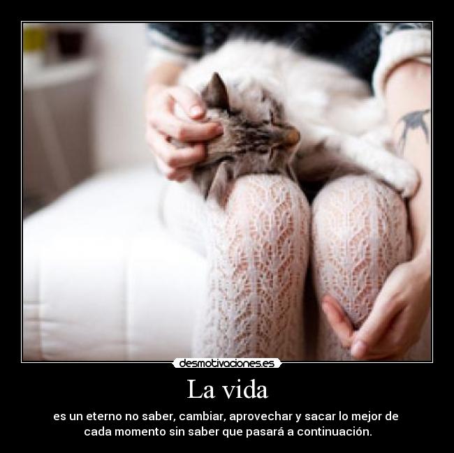 La vida - 
