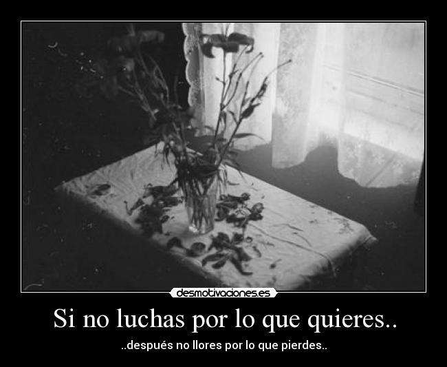 Si no luchas por lo que quieres.. - ..después no llores por lo que pierdes..♥