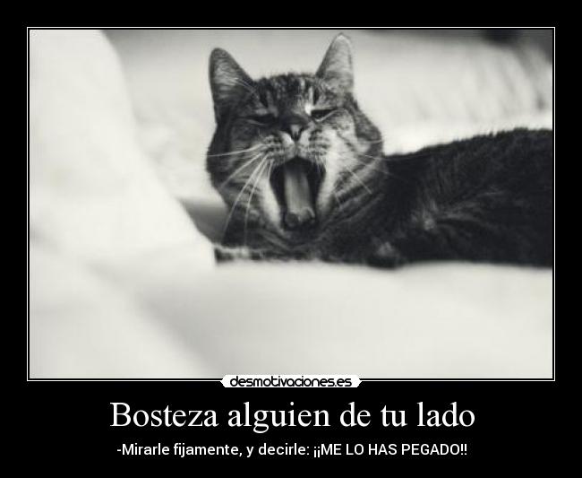 Bosteza alguien de tu lado -