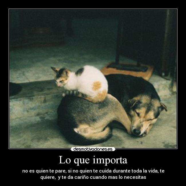 Lo que importa - no es quien te pare, si no quien te cuida durante toda la vida, te
quiere,  y te da cariño cuando mas lo necesitas