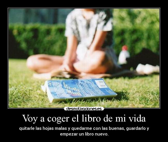 Voy a coger el libro de mi vida - 