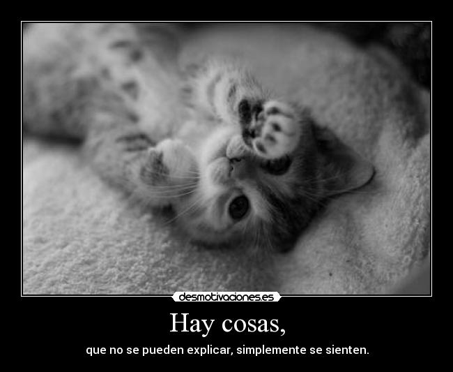 Hay cosas, - que no se pueden explicar, simplemente se sienten.