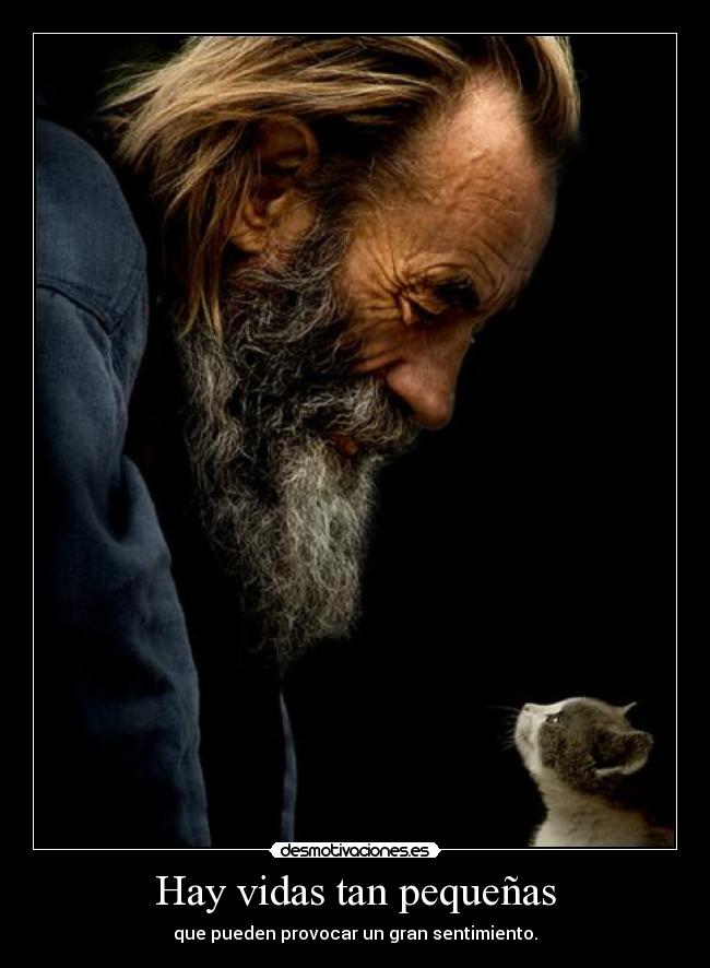 Hay vidas tan pequeñas - que pueden provocar un gran sentimiento.