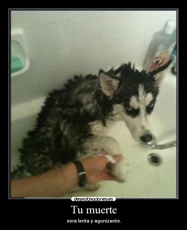 Tu muerte -