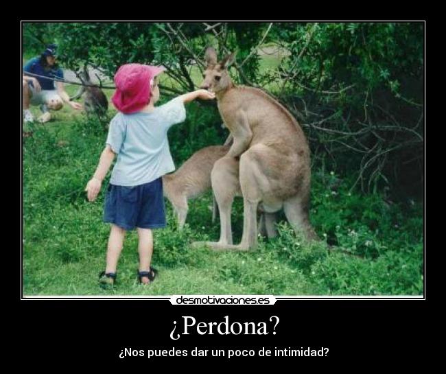 carteles intimidad desmotivaciones