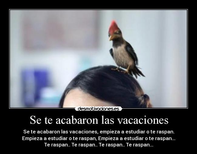 Se te acabaron las vacaciones - Se te acabaron las vacaciones, empieza a estudiar o te raspan.
Empieza a estudiar o te raspan, Empieza a estudiar o te raspan...
Te raspan.. Te raspan.. Te raspan.. Te raspan...