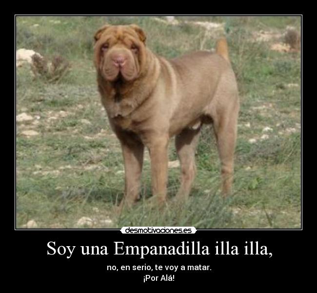 Soy una Empanadilla illa illa, - no, en serio, te voy a matar.
¡Por Alá!