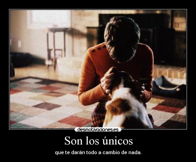 Son los únicos - que te darán todo a cambio de nada.