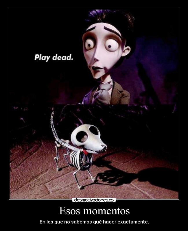Esos momentos - En los que no sabemos qué hacer exactamente.