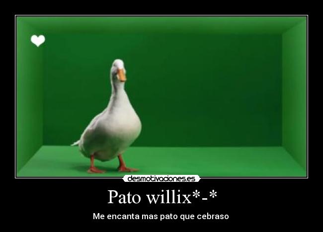 carteles pato cua cua cua desmotivaciones