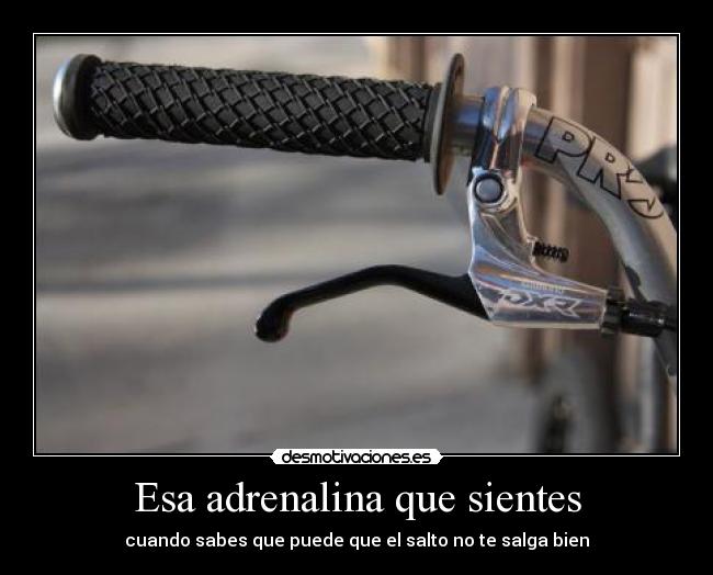 Esa adrenalina que sientes -