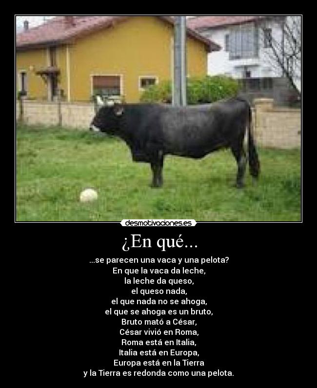 ¿En qué... - ...se parecen una vaca y una pelota?
En que la vaca da leche,
la leche da queso,
el queso nada,
el que nada no se ahoga,
el que se ahoga es un bruto,
Bruto mató a César,
César vivió en Roma,
Roma está en Italia,
Italia está en Europa,
Europa está en la Tierra
y la Tierra es redonda como una pelota.