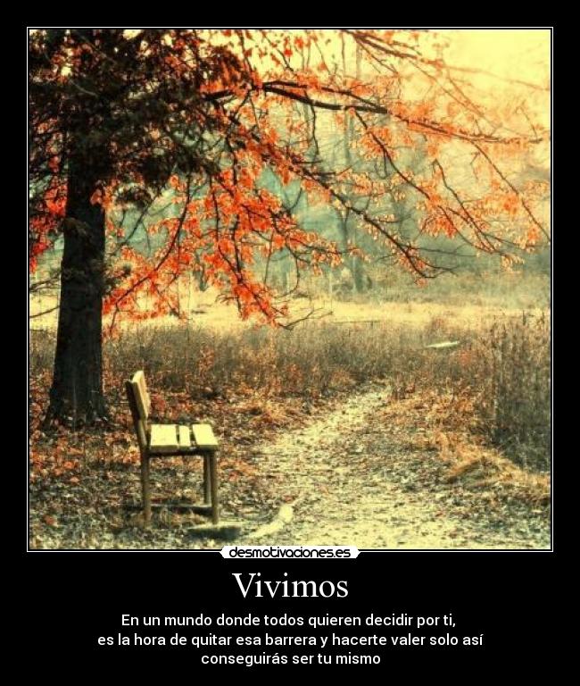 Vivimos - 