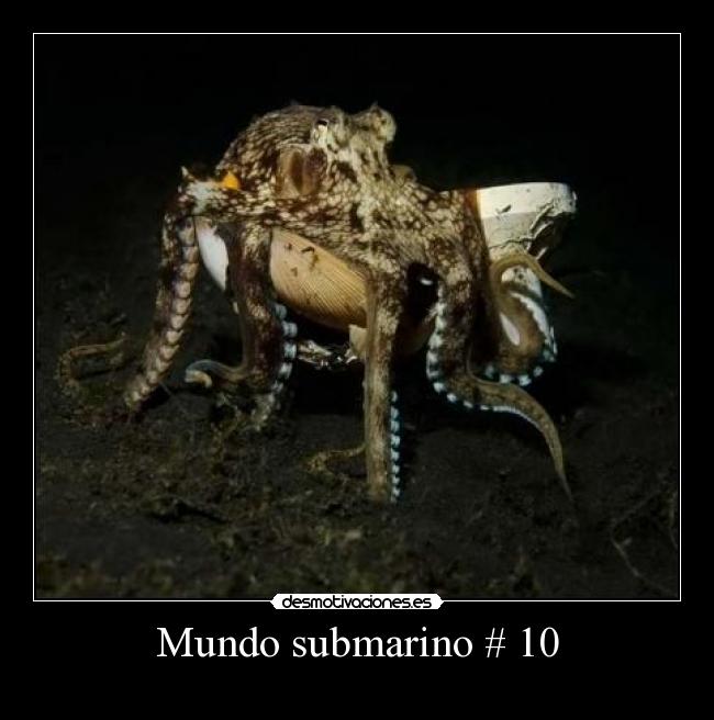 Mundo submarino # 10 - 
