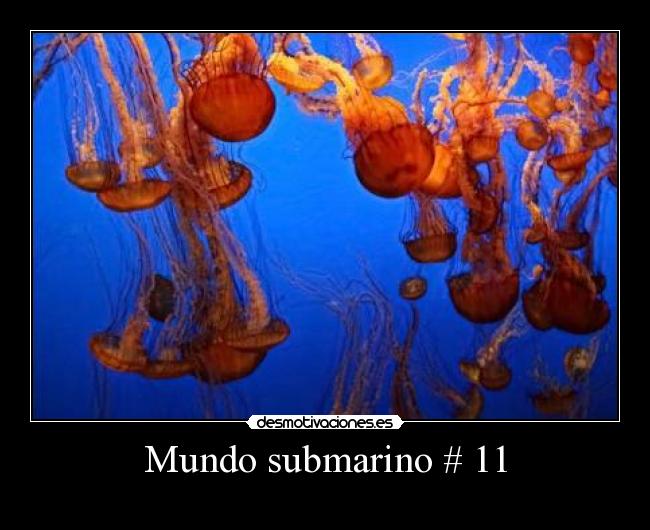 Mundo submarino # 11 - 