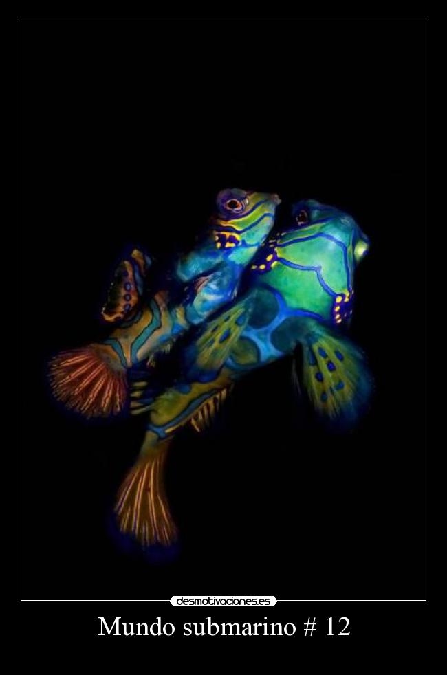 Mundo submarino # 12 - 