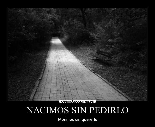 NACIMOS SIN PEDIRLO - Morimos sin quererlo