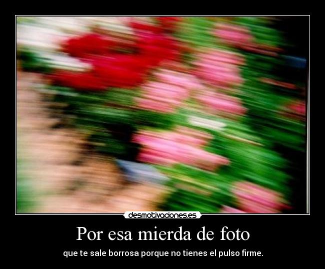 Por esa mierda de foto - 